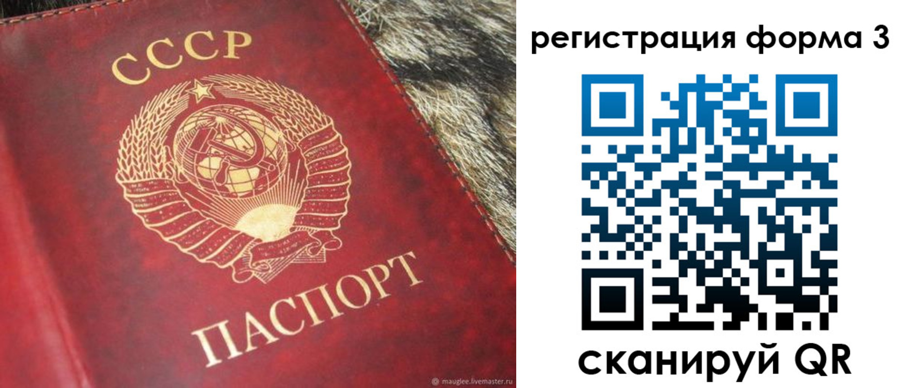 прописка регистрация в Купино